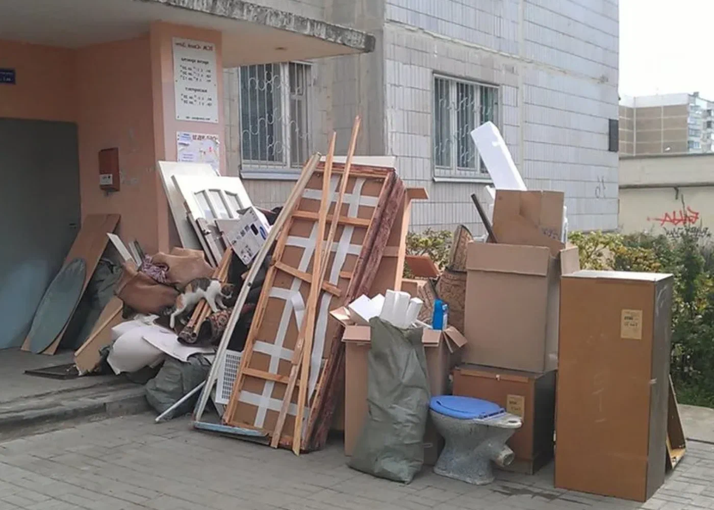 Профессиональный вывоз мусора из квартиры в Грозном в октябре