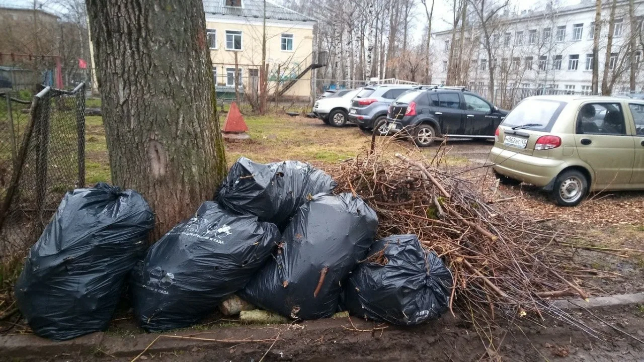 Вывоз мусора после субботника в Грозном от ПроМусор – уборка и утилизация отходов от 2411 руб