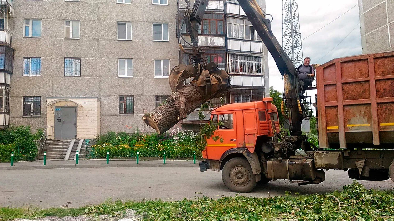 Вывоз спиленных веток и деревьев в Грозном от ПроМусор: порубочные остатки, утилизация, цена от 2976 руб