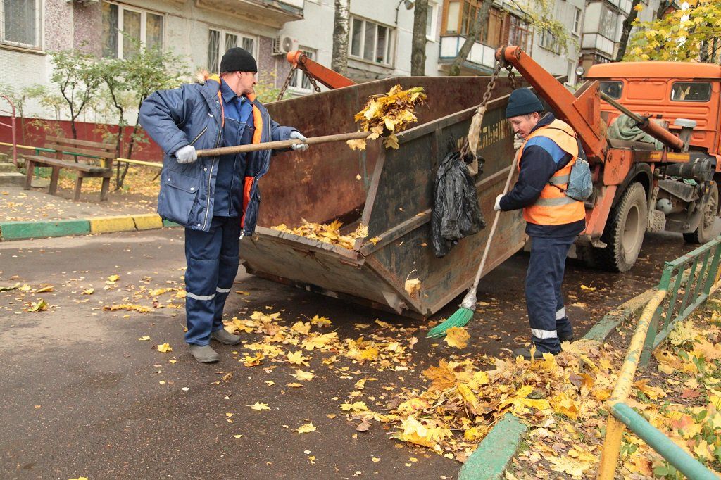 Вывоз опавшей листвы и растительного мусора в Грозном от ПроМусор – цена от 4617 руб., быстрая уборка и утилизация